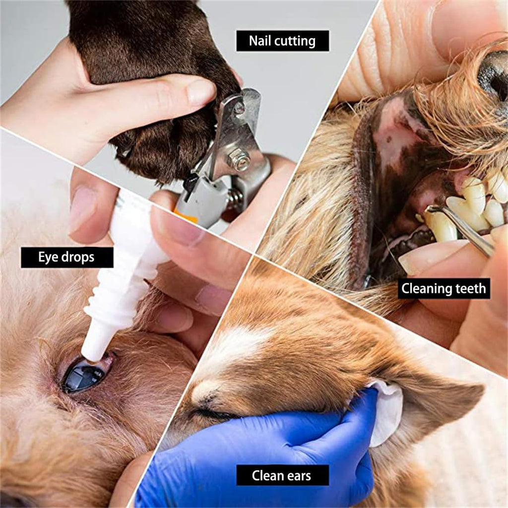 Pet grooming hammock